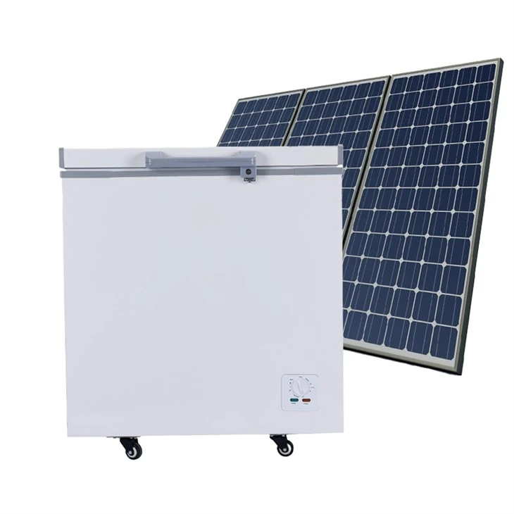 Super Energy Save 110mm Foaming Thickness Normal 10v~50vdcsolar Deep Freezer Double Doors BD/BC-358H